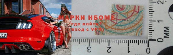 хмурый Новозыбков