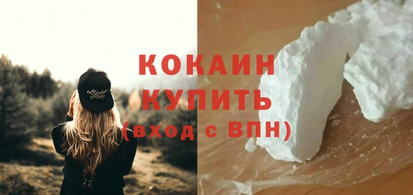 прущие грибы Няндома