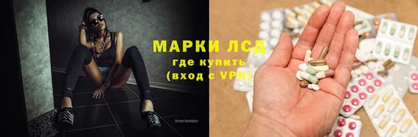 прущие грибы Нязепетровск