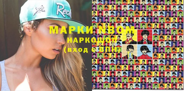 прущие грибы Няндома