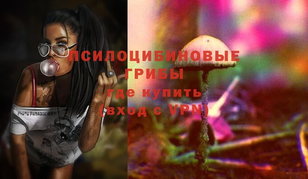 тгк Новодвинск