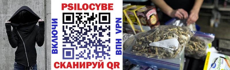 Псилоцибиновые грибы Cubensis  OMG вход  Инта 